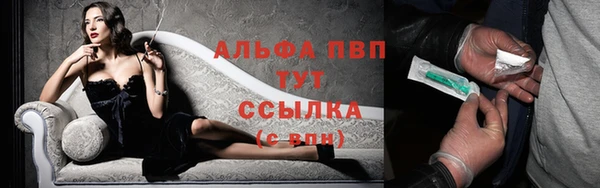 индика Богородск