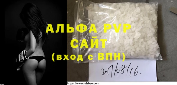 индика Богородск