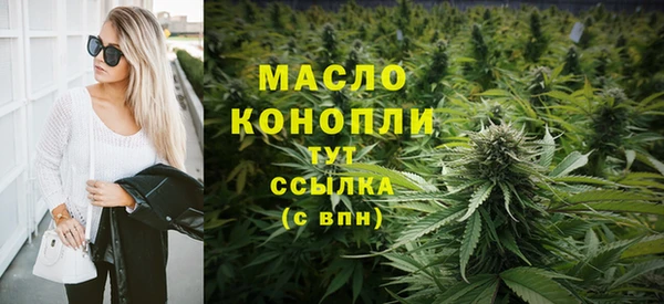 индика Богородск