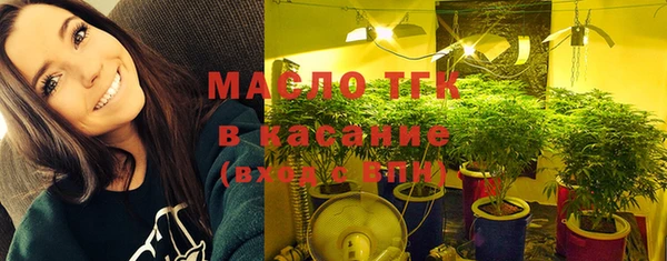 индика Богородск